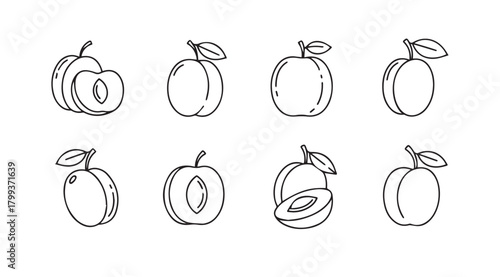 Collection of hand drawn plum illustrations in a simple silhouette style