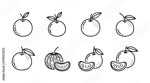 Collection of hand drawn orange and citrus fruit silhouettes with leaves