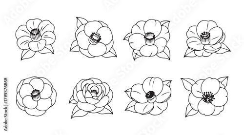 Collection of eight delicate floral silhouettes with detailed petal and leaf outlines