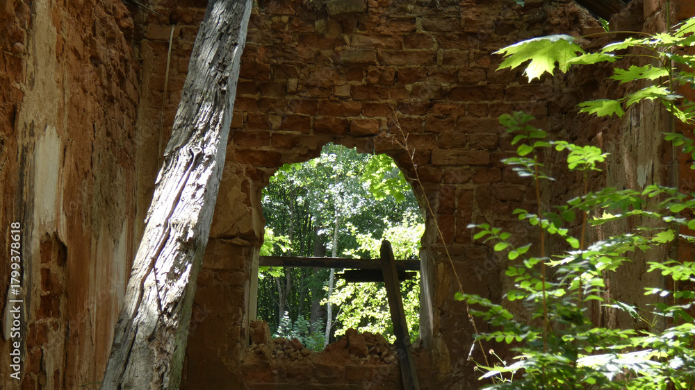 Naklejka premium Abandoned building with broken wall revealing lush greenery in a quiet forest