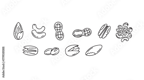 Collection of various nut and seed silhouettes in a hand drawn style