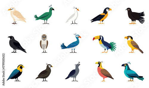 Collection of illustrated bird species icons including owl raven toucan peacock falcon with flat minimalist vector cartoon style on white background
