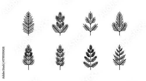 Collection of eight detailed botanical silhouettes of wheat stalks and grasses silhouette