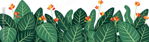 Horizontal banner illustration of exotic green plant leaves and small blooming tropical flowers, creating a fresh and vibrant botanical border