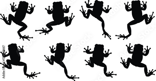 Silhouette frogs pattern isolated on white background, jumping amphibian shapes, wildlife design elements, nature illustration for decoration and graphic 