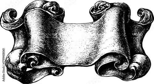 Vintage blank scroll with curled edges in monochrome engraving style. Vector illustration with classic decorative ornament and handdrawn border.