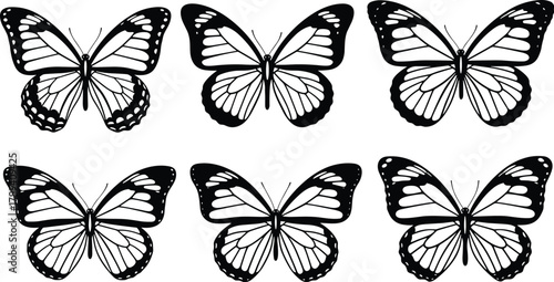 Set of Six Stylized Black and White Butterfly Illustrations Featuring Unique Wing Patterns for Biological Study or Design Applications