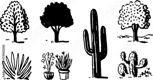 Tree and cactus silhouettes in hand-drawn art style. Black outline vector illustration of various plants in a simple set.