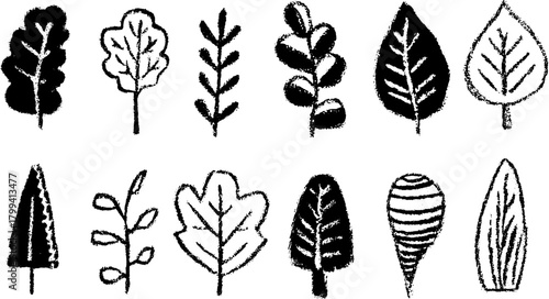 Leaf silhouettes in hand-drawn style. Black outline drawing of various nature-inspired shapes in a simple vector illustration set.
