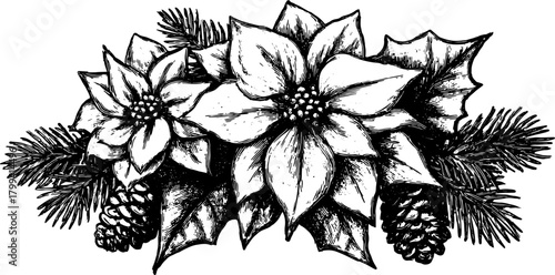Poinsettia flower illustration in black and white. Detailed artistic elements create a traditional winter floral design vector set.