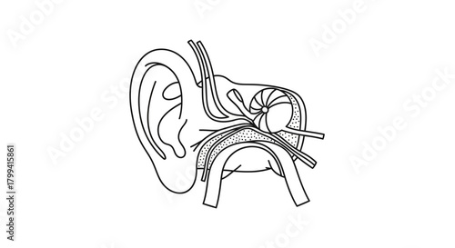 Financial management and economic prosperity concept represented by a sleek wallet filled with cash and coins, symbolizing wealth and successful monetary transactions