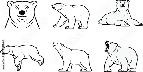 Polar bear vector set in black and white showing natural poses, roaring, leaping, lying, standing, and expressive animal illustrations