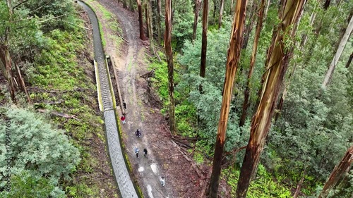 Aerial View of Canal, Narrow Roads & Jungle Path with People Walking Through Nature