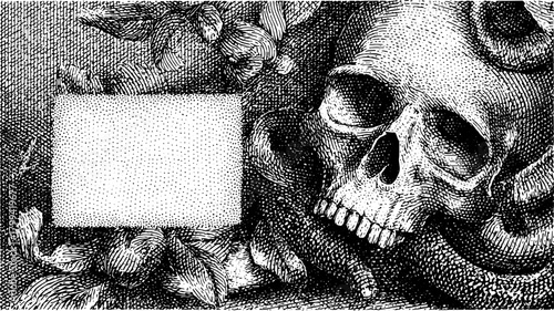 Antique skull engraving illustration. Hand-drawn vintage artwork with floral elements, featuring intricate details in black and white vector style.