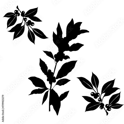 Floral Coffee Silhouette Vector Art. Botanical Coffee Cup and Beans Illustration. Elegant Coffee Branch Decor Icon. Minimalist Cafe Drink Silhouette with Leaves. Coffee Plant Decorative Outline Design