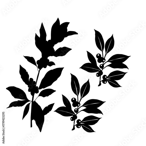 Floral Coffee Silhouette Vector Art. Botanical Coffee Cup and Beans Illustration. Elegant Coffee Branch Decor Icon. Minimalist Cafe Drink Silhouette with Leaves. Coffee Plant Decorative Outline Design