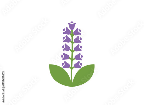 A flat vector illustration of a bluebell branch bearing bellflower blossoms on a slender stem with a leaf, isolated against a white background