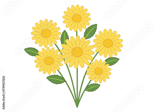 Hand‑drawn chamomile flowers, buds, and leaves on a white background, illustrated botanically as a flowering herbaceous plant used in phytotherapy, rendered in a vintage vector style