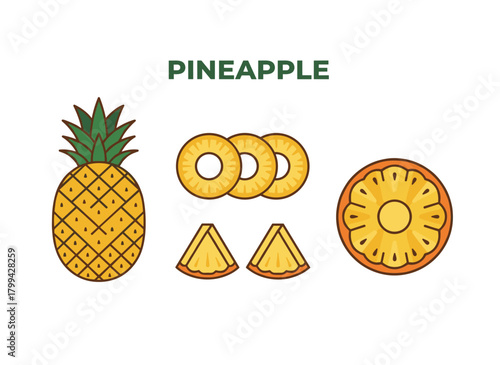 A collection of realistic drawings featuring whole and sliced pineapples, each isolated on a white background, along with a bundle of exotic tropical fruits hand‑drawn using contour lines, presented