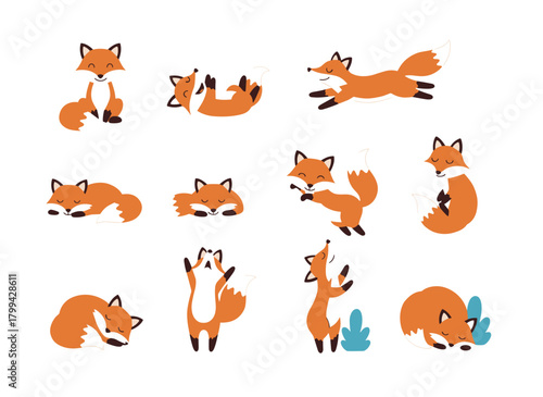 A set of cute red foxes with black paws, isolated on a white background, shown in a flat vector illustration, happily running, sitting, hunting, sniffing, sleeping, relaxing, and stretching in a