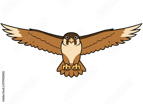 A hawk or falcon, a bird of prey, soars with wings spread, hunting in flight, illustrated as a flat vector on a white background