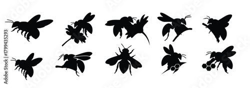 collection of nine bee silhouettes in various poses isolated 