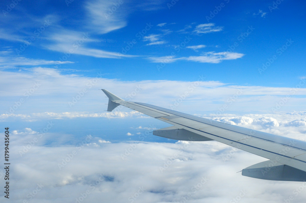 Fototapeta premium Airbus A320 wing and clouds during the cruise
