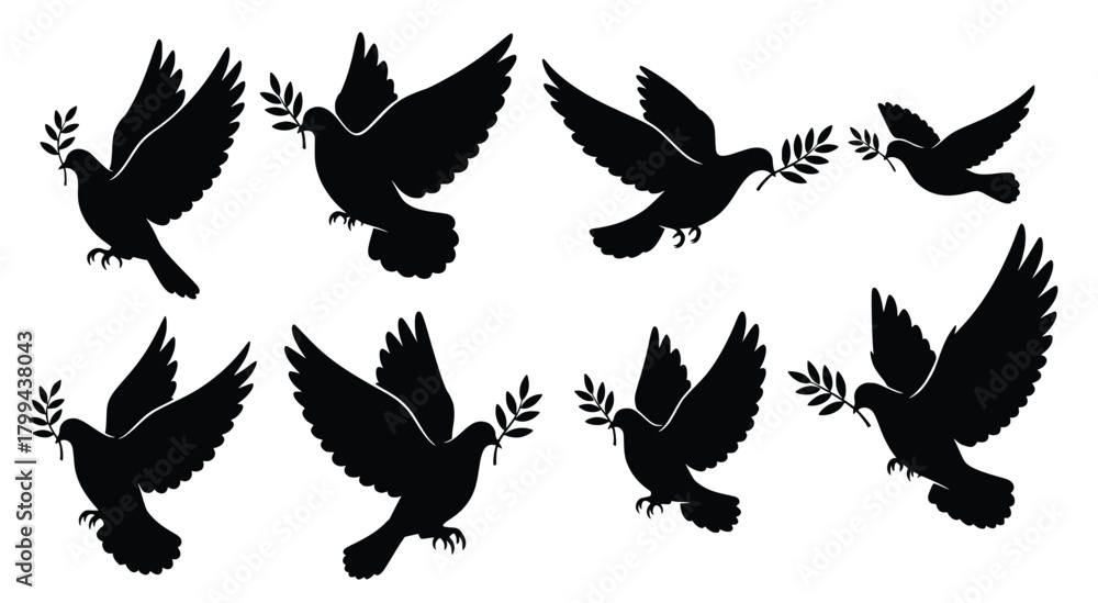 Obraz premium doves with olive branch silhouettes 