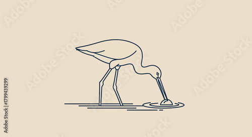 Minimalist line art illustration of a wading bird with a long beak feeding in shallow water on a plain light background.