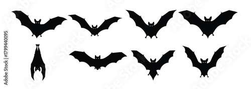  collection of bat silhouettes isolated on white background 