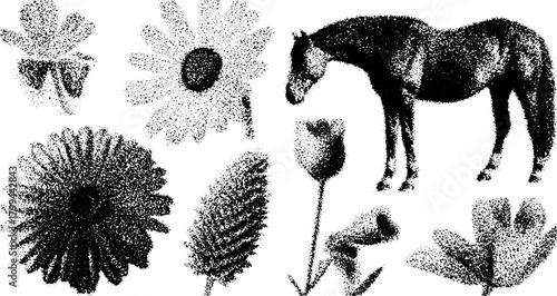 Silhouette of a horse alongside flowers and leaves in a vintage style. Decorative black and white vector illustration set with engaging elements.