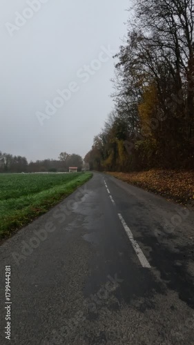 Walking along a winding small road through a dense Alpine forest near Lyon, France during a cloudy autumn day. Fallen leaves cover the path, creating a serene and atmospheric woodland scene.