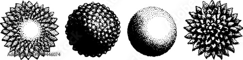Pollen particles in black and white vector illustration. Scientific representation of spherical structures for educational purposes in a set.