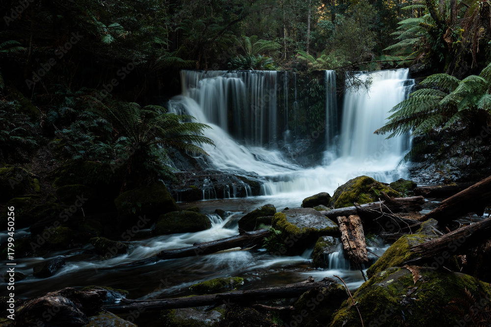 Obraz premium Lush Tasmanian Rainforest Waterfall, Hikers Enjoying Russell and Horseshoe Falls in spring