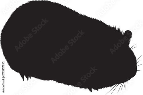 Silhouette of a guinea pig cute rodent pet animal profile silhouette cute critter mammal portrait