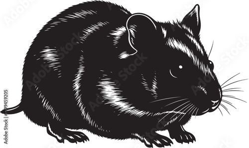 Cute vector illustration set of cartoon animal sketch featuring a black cat, wild squirrel, and black squirrel isolated on white