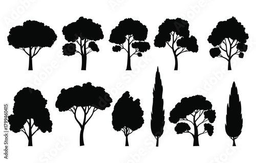 set of trees silhouettes, Silhouette of various trees isolated on white background, including pine, cypress, and deciduous trees in black and white