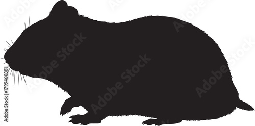 Black cat vector silhouette illustration design on white