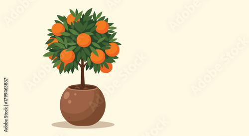 Orange Tree in a Pot: A Vibrant and Healthy Plant.