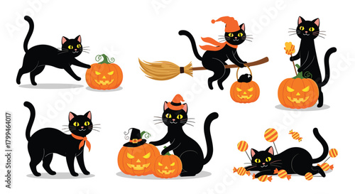 Halloween Black Cats with Pumpkins and Witch Hats.