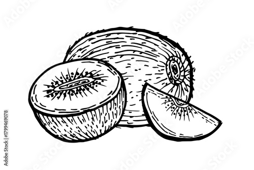 Kiwi fruit sketch isolated. Hand drawn vector illustration in linear engraving style. Ink pen drawing of kiwi fruits. Whole and half slices, pieces set.