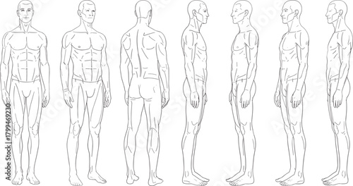 Detailed male anatomy reference illustration showing full-body poses from multiple angles for artists, modeling, character design, medical study, training purposes