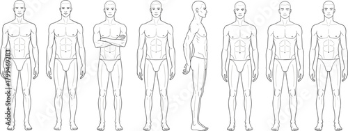 Detailed male body anatomy poses set, full-length muscular man figure illustrations, front and side views for design, drawing, reference purposes