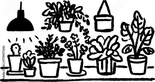 Indoor garden with potted plants including cacti and leaves. Simple vector illustration featuring a cozy light source above the set arrangement.