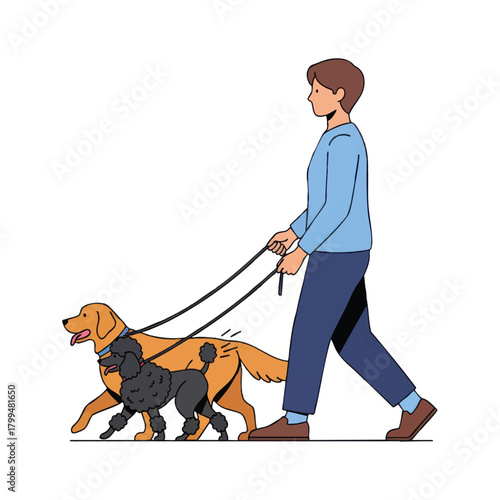 A person walking a golden retriever and a poodle on leashes, side view, against a white background.