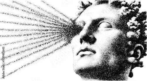 Head statue in classical art style. Black and white vector illustration with contrasting textures and lines in a simplified graphic format.