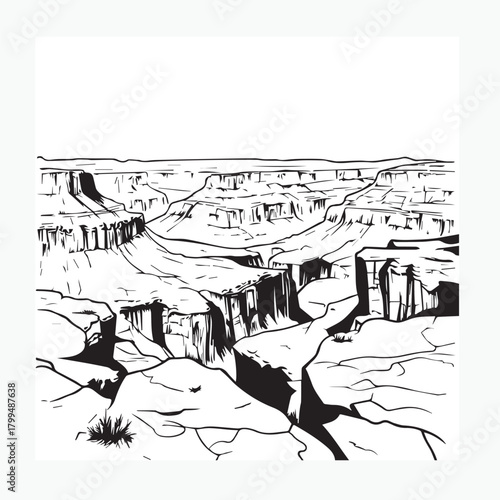 grand canyon vector illustration