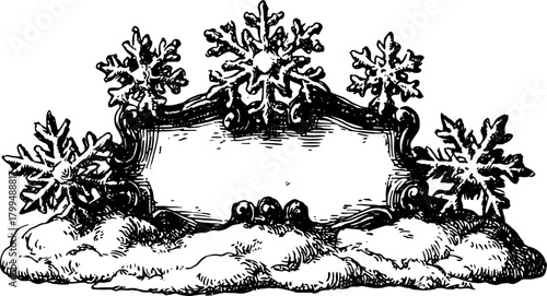 Antique engravings featuring snowflakes in a hand-drawn style. Vintage vector illustration with intricate outline designs, suitable for winter-themed set.