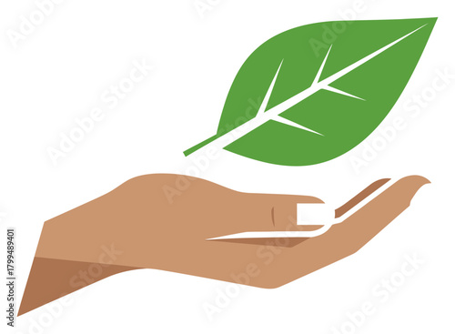Hand holding green leaf isolated on, symbolizing environmental protection and sustainability efforts