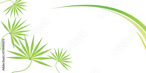green grass frame. Green bamboo leaf frame with fresh grass and natural foliage